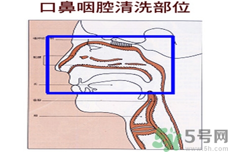 鼻炎能用生理鹽水清理鼻腔嗎？鼻炎能不能用生理鹽水清理鼻腔？