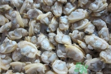花蛤的營養(yǎng)價(jià)值有哪些？生取蛤肉的方法是什么？