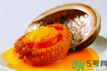 鮑魚如何挑選？鮑魚如何保存？