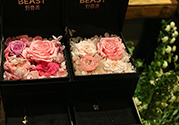 野獸派的花多少錢？野獸派的花哪里買？