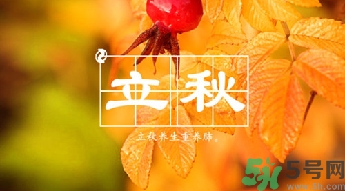 秋老虎是什么意思?秋老虎從什么時(shí)候開(kāi)始