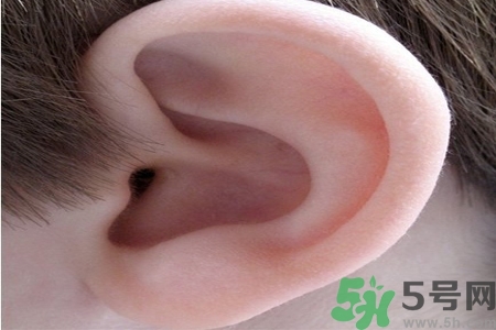 耳朵癢是怎么回事？耳朵癢怎么辦？