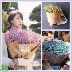 七夕送女朋友什么花？七夕送女朋友花送幾朵？