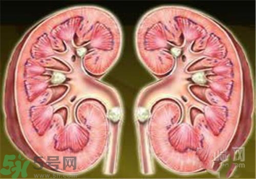 慢性腎炎能治好嗎？慢性腎炎能活多久？