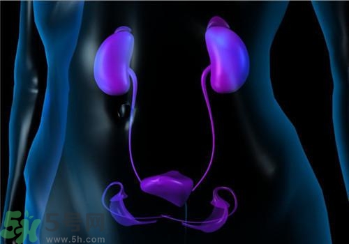 慢性腎炎能治好嗎？慢性腎炎能活多久？