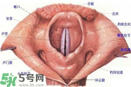 慢性咽炎的發(fā)病因素？慢性咽炎的并發(fā)癥有哪些？
