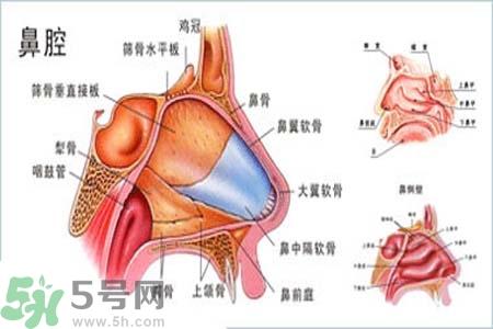 鼻竇炎的護(hù)理措施？鼻竇炎的飲食護(hù)理？