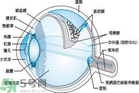近視眼是什么？近視眼的癥狀有哪些？