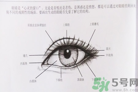 白內(nèi)障的發(fā)病因素是什么？白內(nèi)障并發(fā)癥有哪些？
