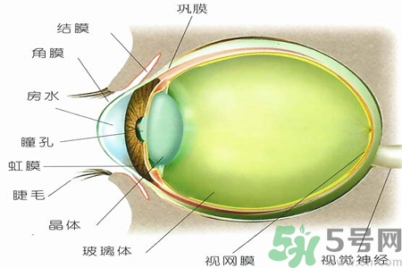 青光眼的治療方法有哪些？青光眼可以哪些藥物治療？