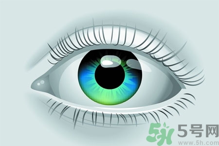 青光眼的高發(fā)人群有哪些？如何預(yù)防青光眼？
