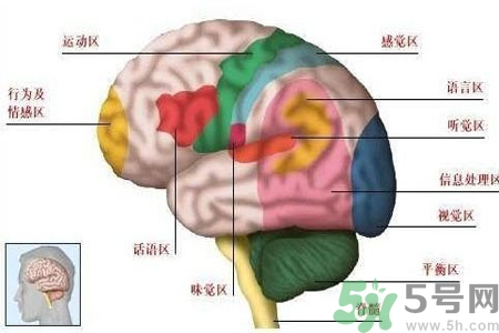 腦出血的發(fā)病因素是什么？腦出血的并發(fā)癥有哪些？