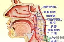 鼻咽癌的日常措施是什么？鼻咽癌注意的飲食有哪些？