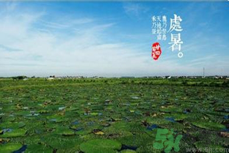 處暑吃什么水果？處暑養(yǎng)生水果推薦