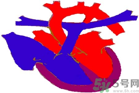 如何預(yù)防心臟病？心臟病的禁忌癥有哪些？