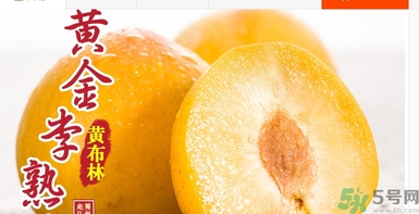 恐龍蛋水果怎么吃？恐龍蛋水果皮能吃嗎？