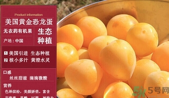 恐龍蛋水果怎么吃？恐龍蛋水果皮能吃嗎？