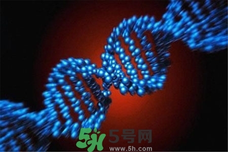 不宜過(guò)多食用辣椒的人群有哪些？夏天吃辣椒的好處有哪些？