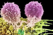 不宜過(guò)多食用辣椒的人群有哪些？夏天吃辣椒的好處有哪些？