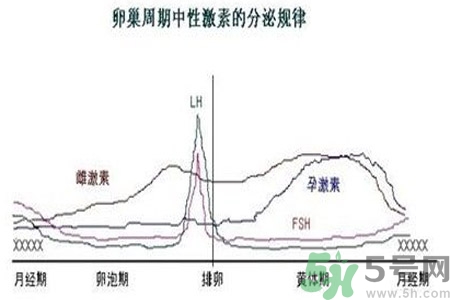 如何分清常見的激素藥？如何正確使用激素類藥物？