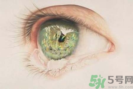 睡覺時(shí)流眼淚是怎么回事？如何保護(hù)眼睛？