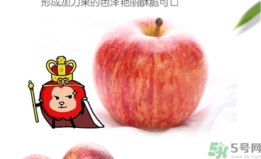 姬娜果是什么？姬娜果的功效作用