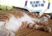 秋乏是什么原因？秋乏怎么辦？