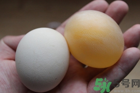 醋泡雞蛋可以治病嗎？醋泡雞蛋的做法是什么？