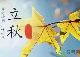  為什么立秋了還這么熱？立秋后要多久才能涼快？