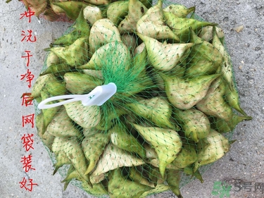 菱角和豬肉能一起吃嗎？菱角和什么不能一起吃？