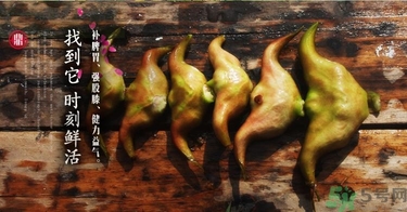 菱角和豬肉能一起吃嗎？菱角和什么不能一起吃？