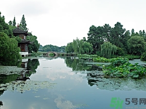 菱角是什么？菱角是什么季節(jié)成熟的？