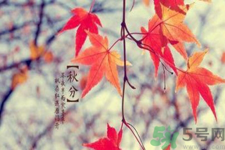 女性秋季防燥需注意哪些？女性秋季防燥吃什么？