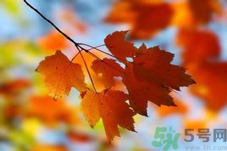 女性秋季防燥需注意哪些？女性秋季防燥吃什么？