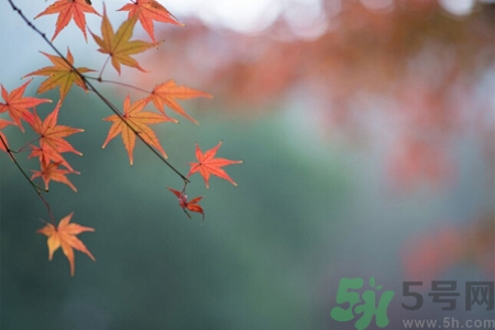 秋季如何預(yù)防去燥防風(fēng)？秋天防燥可以吃什么食物？
