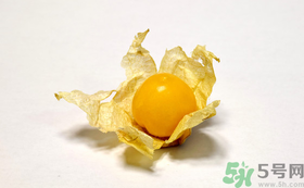 姑娘果的營養(yǎng)價值有哪些？姑娘果的功效與作用