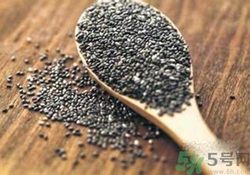 奇亞籽是什么？奇亞籽的功效作用