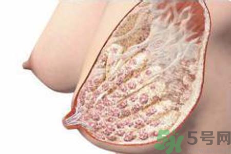 乳腺增生可以懷孕嗎？如何預(yù)防乳腺增生？