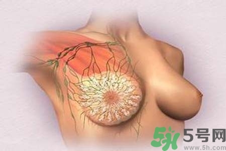 乳頭發(fā)黑怎么辦？怎么樣可以使乳頭變白？
