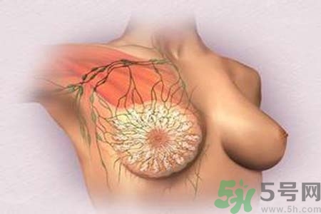 乳頭發(fā)黑是怎么回事？乳頭發(fā)黑是什么原因？