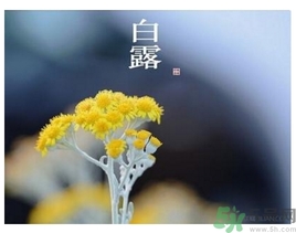 白露是什么意思？白露是幾月幾日