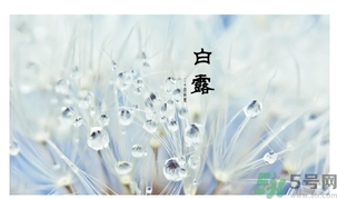 白露身不露是什么意思？白露還熱嗎？