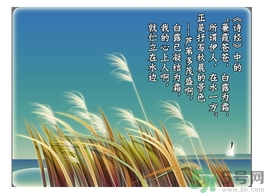 白露茶是什么茶？白露為什么要喝白露茶？