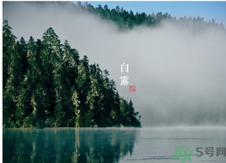 白露喝什么茶？白露養(yǎng)生茶飲推薦