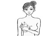女性乳腺增生的原因是什么？乳腺增生的癥狀有哪些？