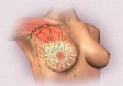乳頭發(fā)黑是怎么回事？乳頭發(fā)黑是什么原因？