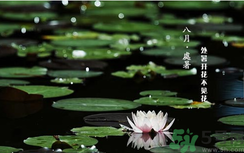 處暑如何養(yǎng)生？處暑養(yǎng)生要注意什么？