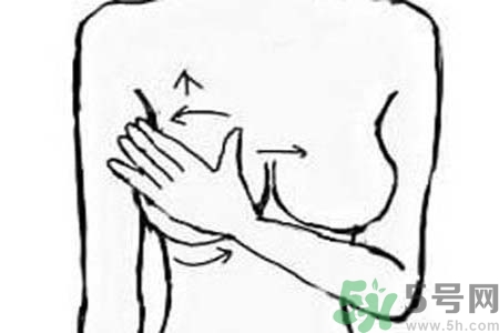 乳房如何二次發(fā)育？懷孕是乳房的第二個(gè)發(fā)育期？