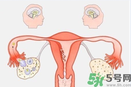 陰道出血和什么有關(guān)？陰道出血的應(yīng)急措施有哪些？