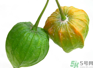 紅姑娘吃多了會(huì)怎樣？吃野生紅姑娘的好處和壞處